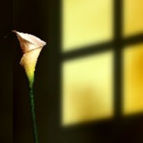 Jessie Marcos Guzman - Photo 2