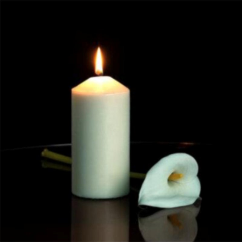 Sandra Pollreisz Landry - Photo 2