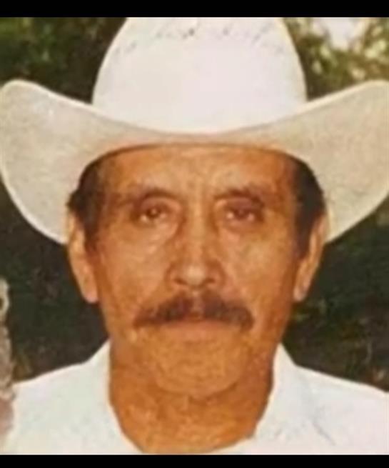 Camerino Avila - Photo 5