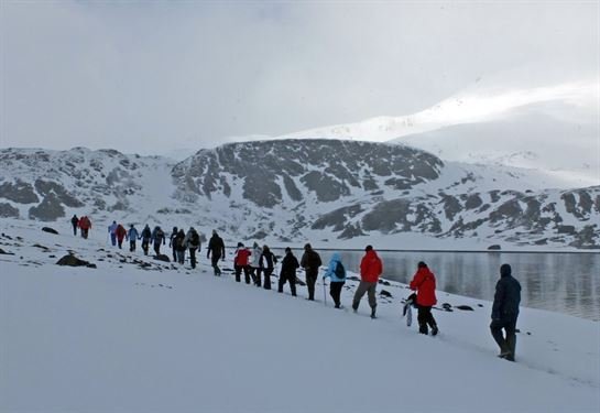 David Lawrence Mallgrave - Photo 10