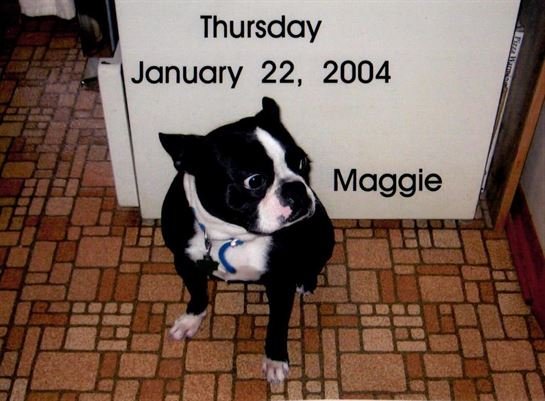 Robbie "Burnell" Waters - Photo 2