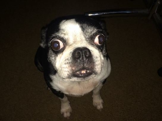 Robbie "Burnell" Waters - Photo 7