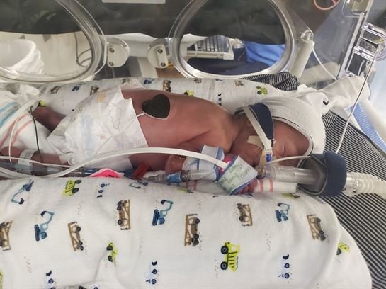 Karver Allen Schroeder - Photo 2