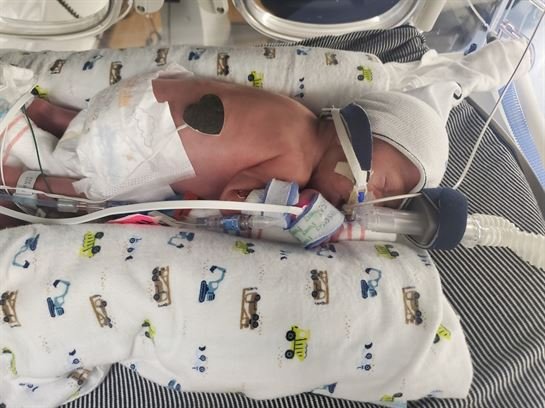 Karver Allen Schroeder - Photo 6