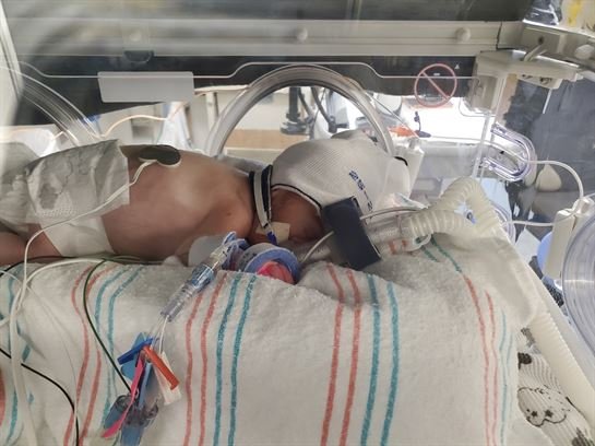 Karver Allen Schroeder - Photo 5