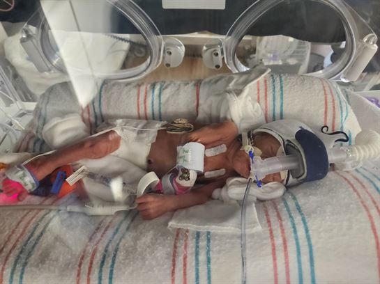 Karver Allen Schroeder - Photo 4