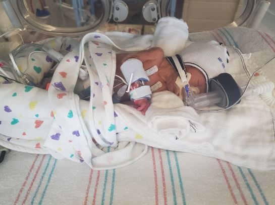 Karver Allen Schroeder - Photo 9