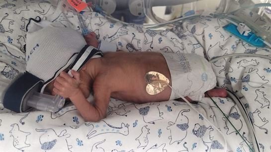 Karver Allen Schroeder - Photo 11