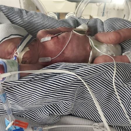 Karver Allen Schroeder - Photo 10