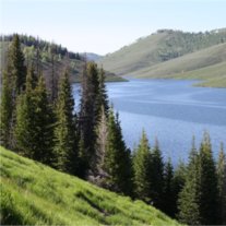 Donovan E. Woolwine - Photo 2