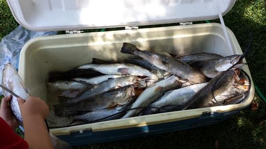 Neal R. Landry - Photo 4