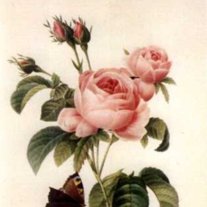 Sybil Lynelle Sherrell - Photo 2