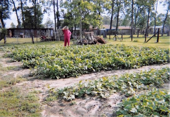 W.B. "Bill" Yarbrough - Photo 5