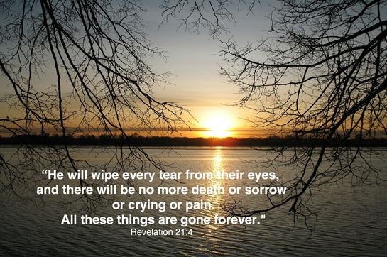 Oscar Falcon Hereira - Photo 6