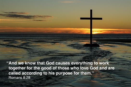 Oscar Falcon Hereira - Photo 9