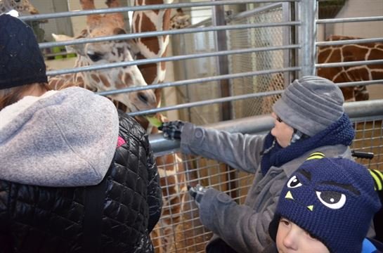 Cynthia LaJuan Trichell Polanco - Photo 8