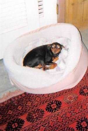 James Edward Cloud - Photo 7