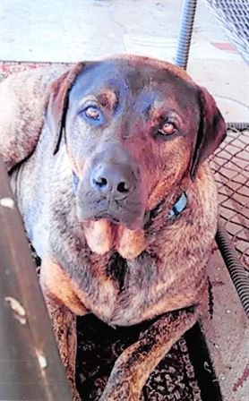 Michael Servantes - Photo 6