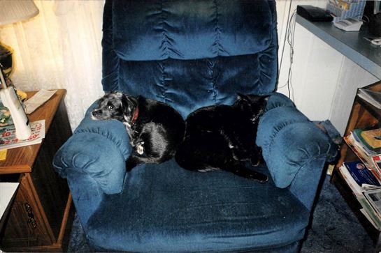 Charlene Beverly Etgen - Photo 2