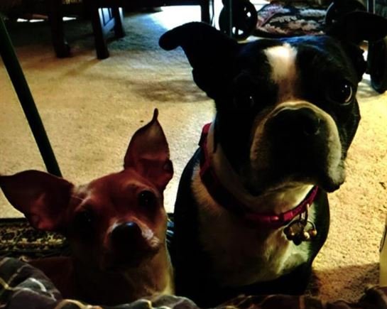 Raymond Lewis Martin - Photo 2