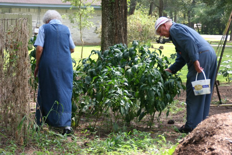 Willis Clayton "Bill" Livingston - Photo 7
