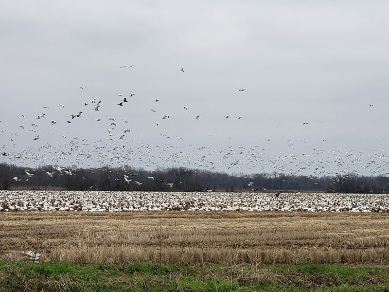 Jeremy Layne Doucett - Photo 5