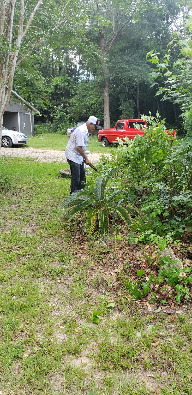 Harold Henry Clark - Photo 8