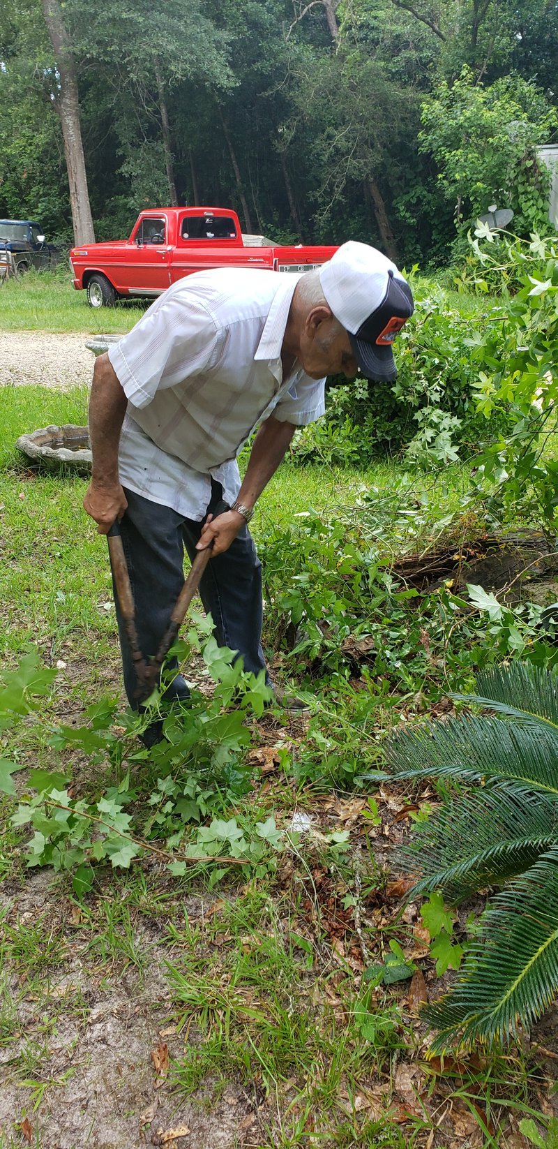 Harold Henry Clark - Photo 9