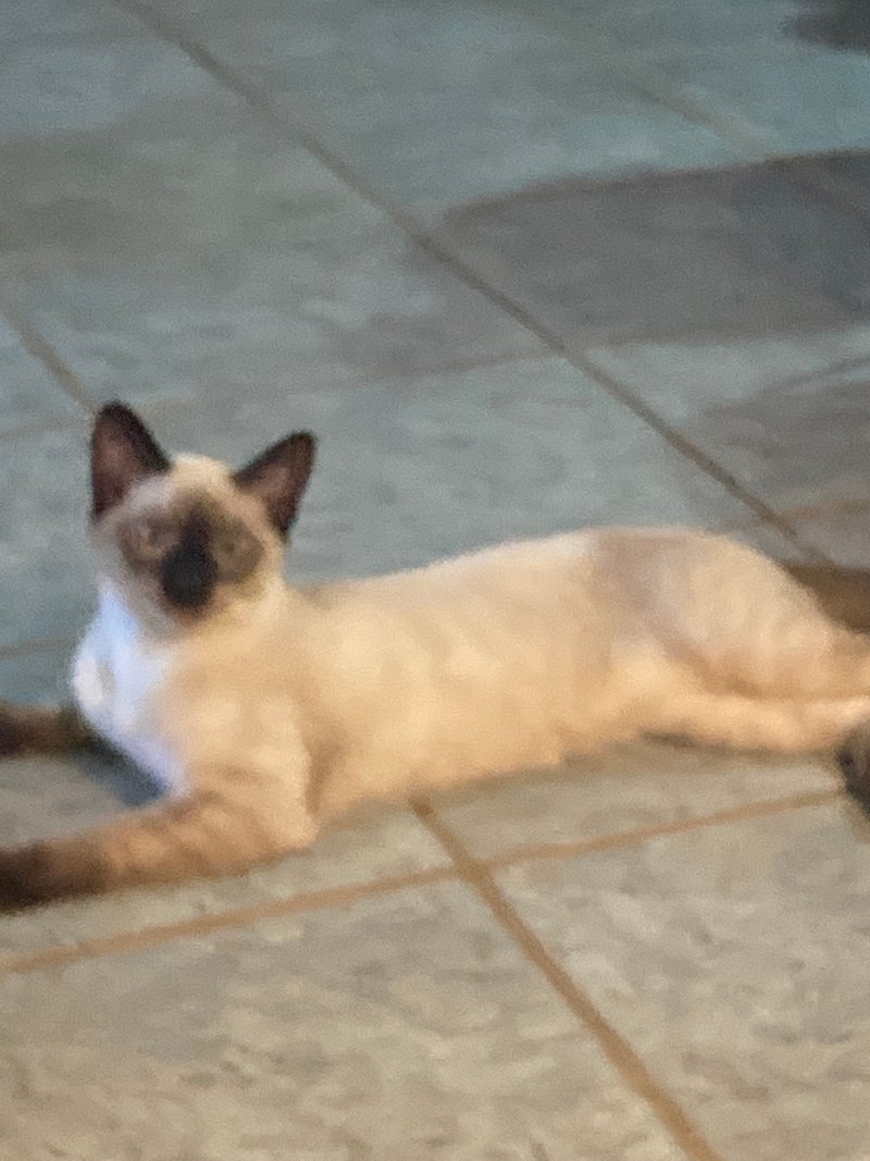 Marjorie Lynn Wohler - Photo 5