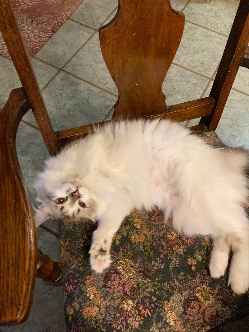 Marjorie Lynn Wohler - Photo 3