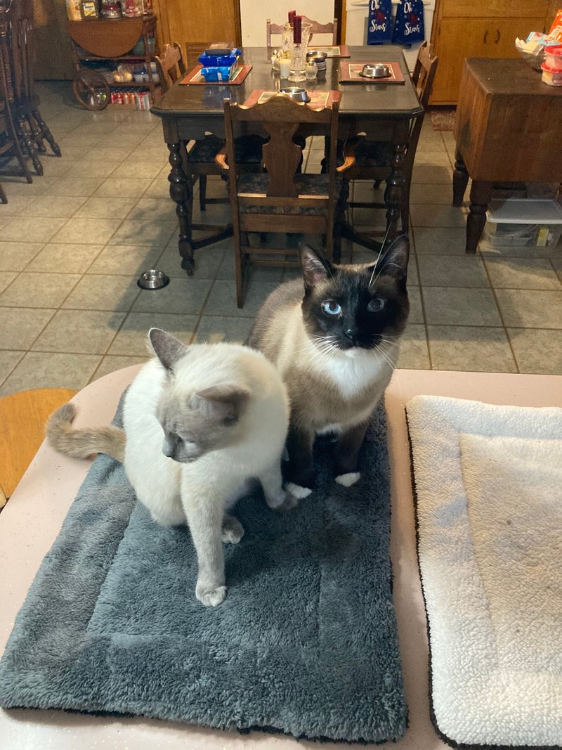 Marjorie Lynn Wohler - Photo 8