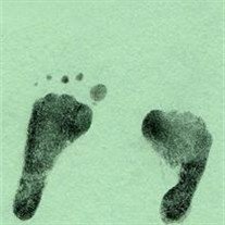 Brek Michael Jenkins