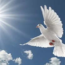 Joyce Francis Edmonston