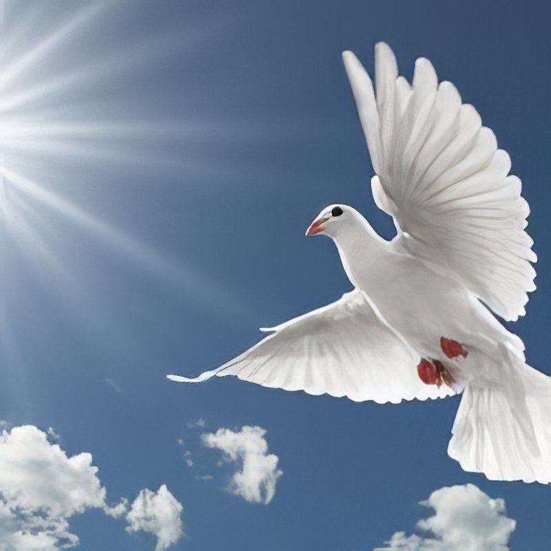 Joyce Francis Edmonston - Photo 2