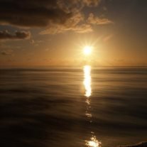 Michael Leroy Sisk - Photo 2