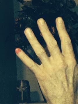 Alan Craig Chapman - Photo 5