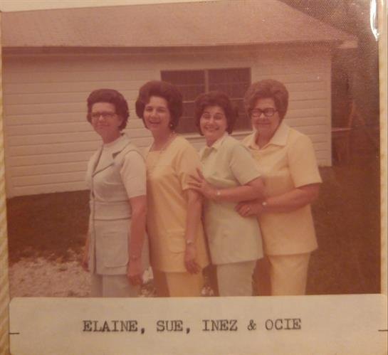 Sue Nell (Erwin) McBroom - Photo 2