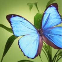 Mary Eleanor Kleinhen - Photo 4