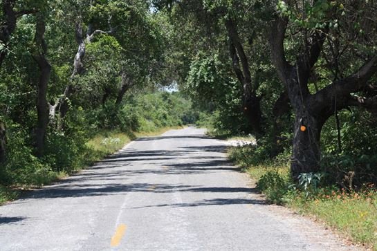 Shirley Jean Salisbury - Photo 7