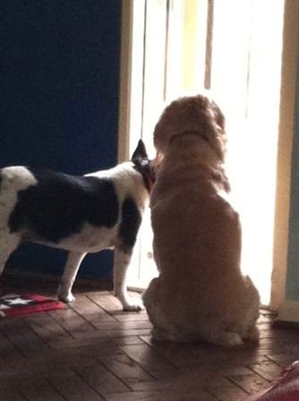 Marilyn Patricia Maury - Photo 5