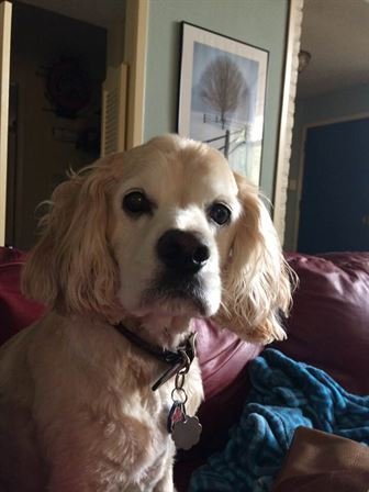 Marilyn Patricia Maury - Photo 7