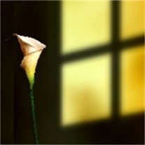 Gregory Johnson - Photo 4