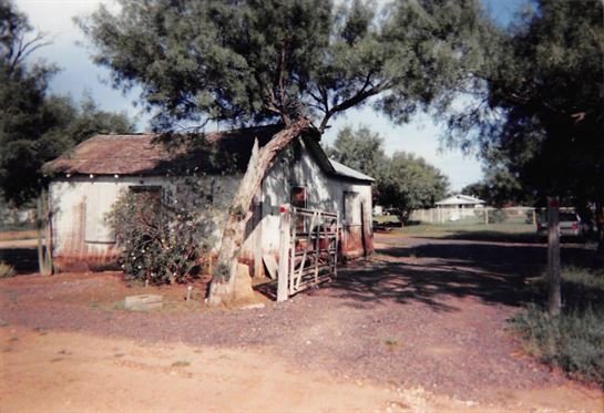 Guadalupe Cardona Vargas - Photo 9