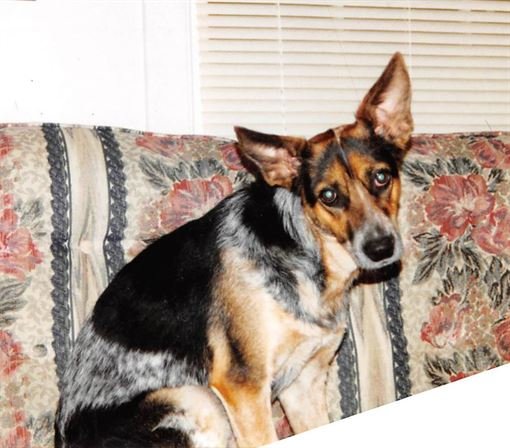 Robert Darrel Horn - Photo 6